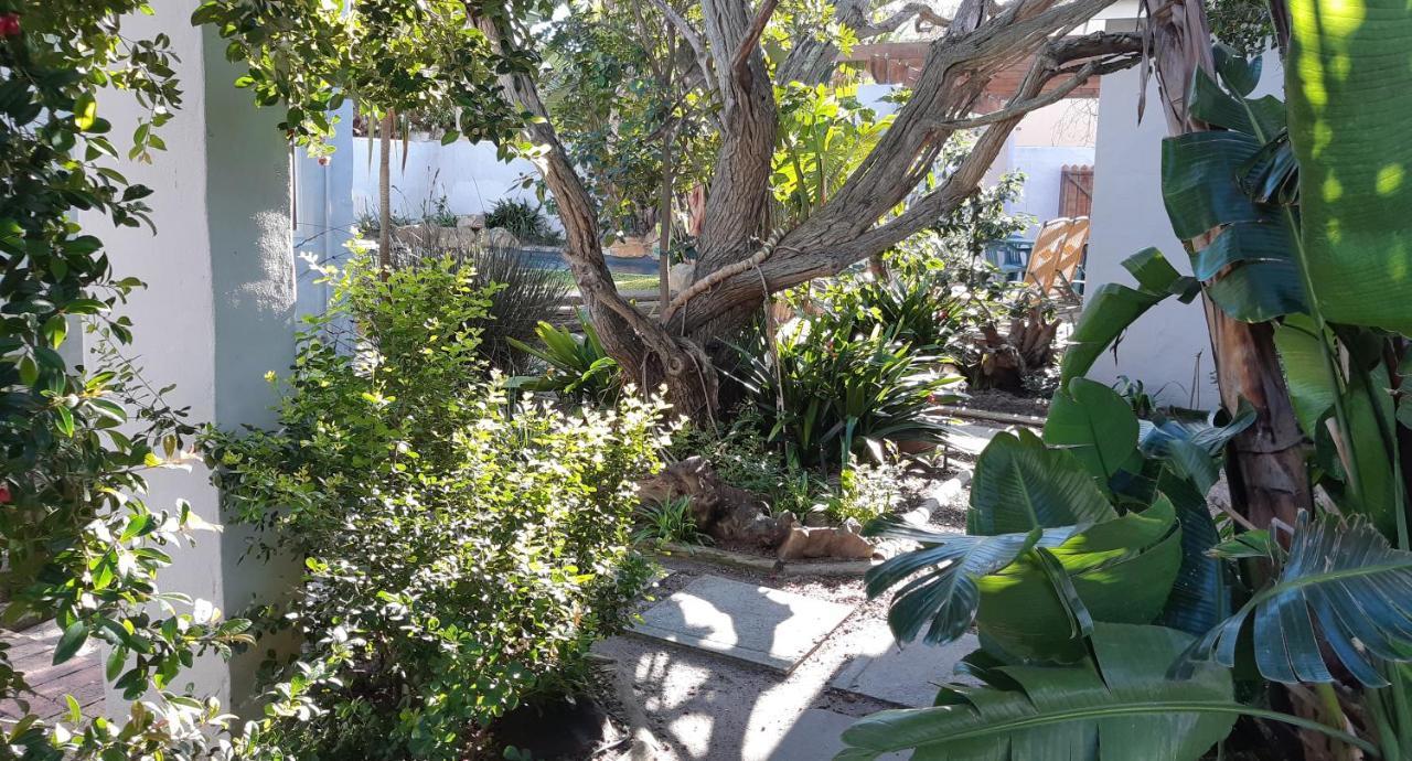 Be My Guest Lodge Bloubergstrand Exterior foto