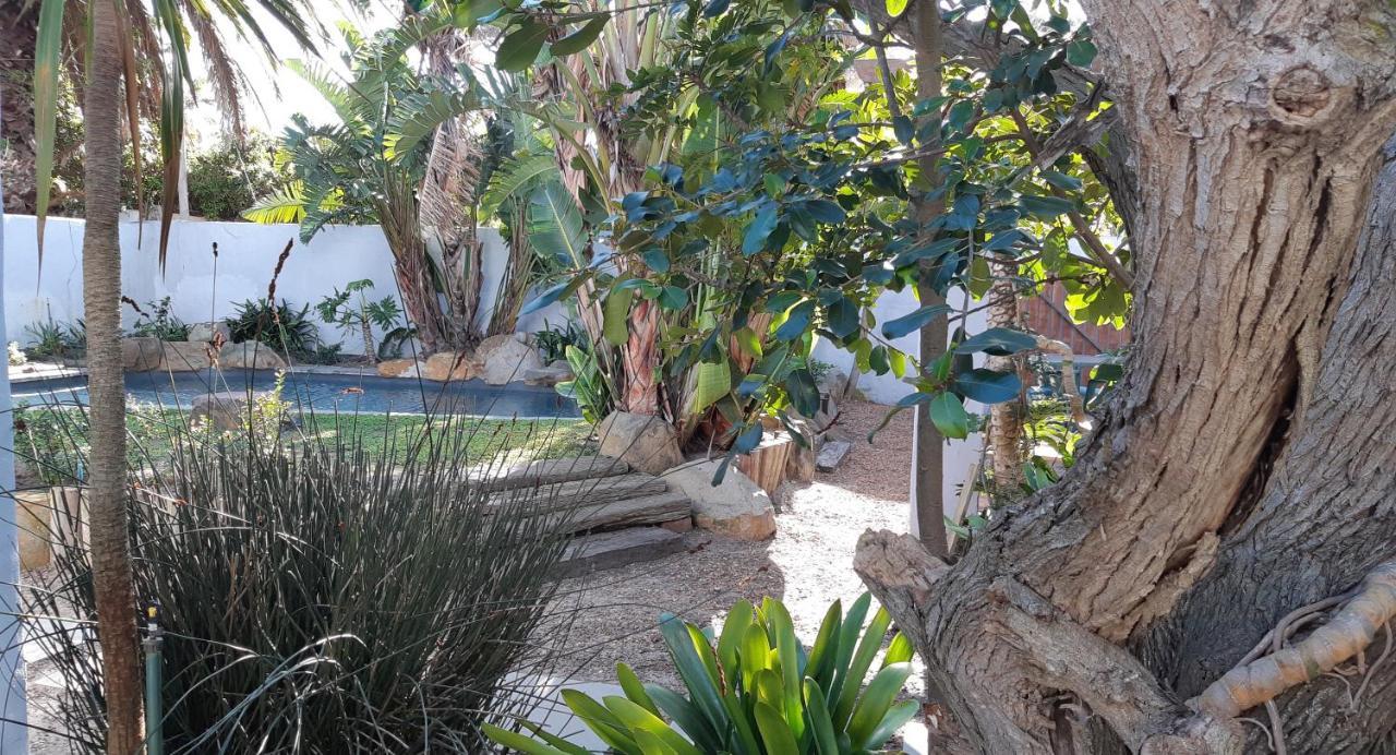 Be My Guest Lodge Bloubergstrand Exterior foto